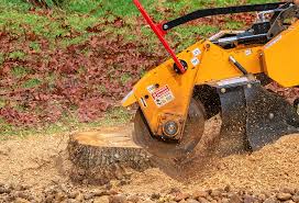 How Our Tree Care Process Works  in  Connell, WA