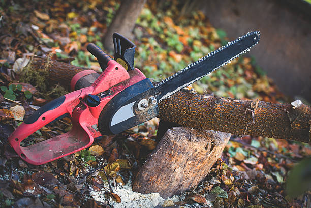 Best Arborist Consultation Services  in Connell, WA